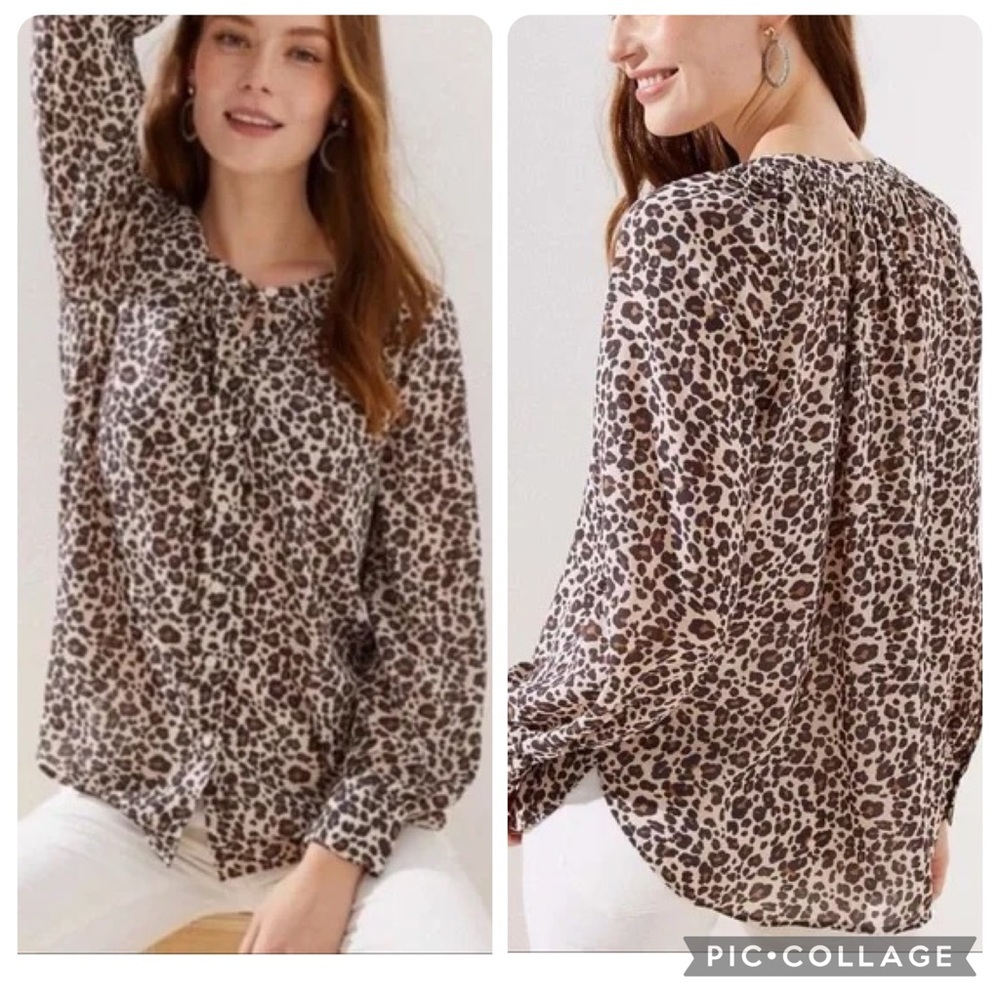 LOFT Leopard Print Collarless Button Down Blouse … - image 2